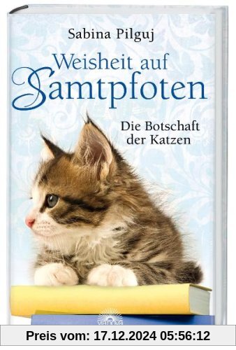 Weisheit auf Samtpfoten - Die Botschaft der Katzen