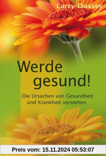 Werde gesund!: Die Ursachen von Gesundheit und Krankheit verstehen