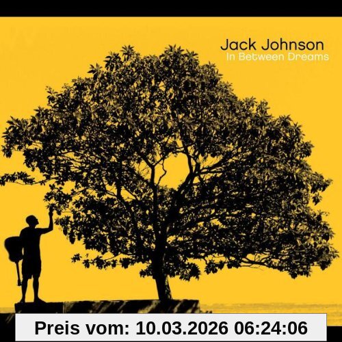 Jack Johnson In Between Dreams