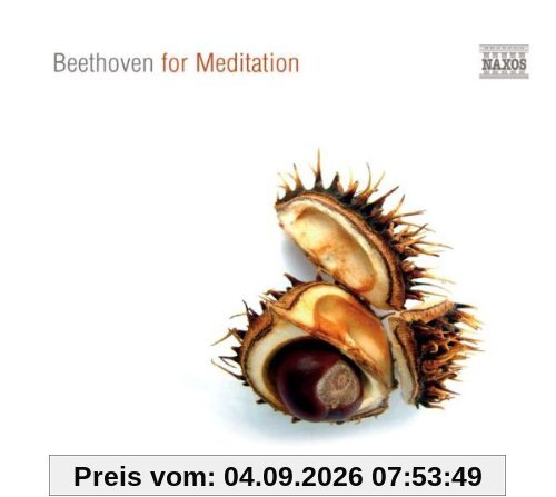 Beethoven for Meditation