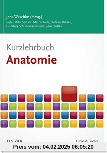 Kurzlehrbuch Anatomie