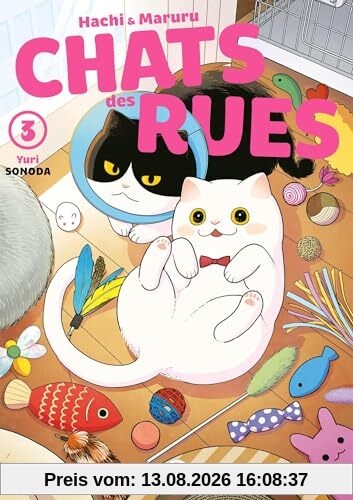 Hachi & Maruru : chats des rues. Vol. 3