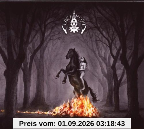 Sehnsucht