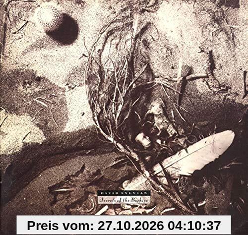Secrets of the Beehive [Vinyl LP]