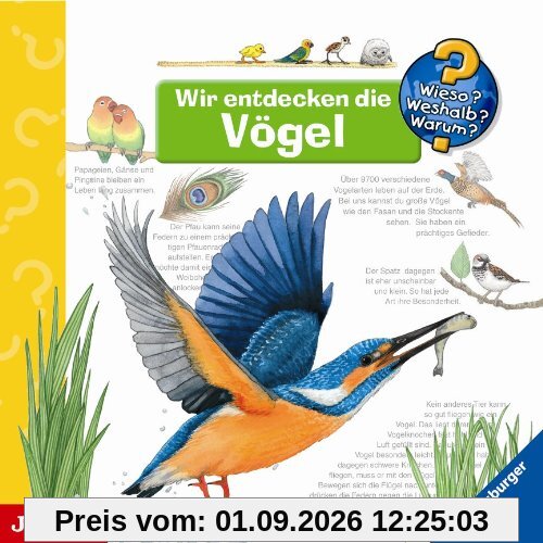 Wir Entdecken die Vögel