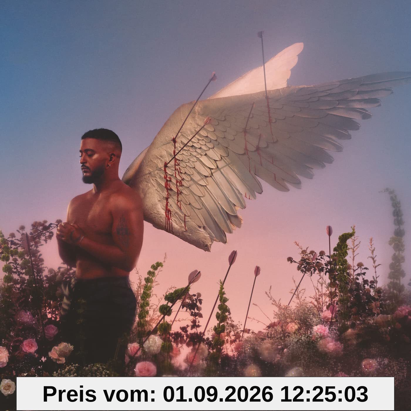 Chroniques D’un Cupidon