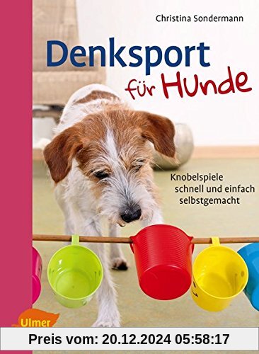 Denksport für Hunde: Knobelspiele schnell und einfach selbstgemacht