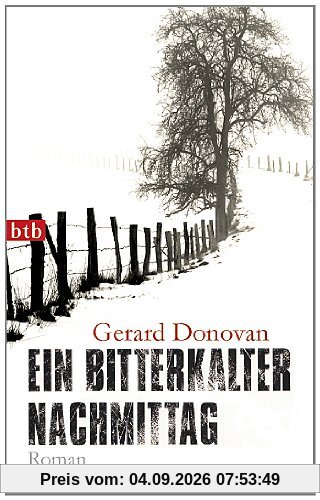 Ein bitterkalter Nachmittag: Roman