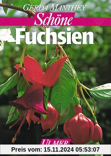 Fuchsien auf Balkon und Terrasse (Garten-Ratgeber)