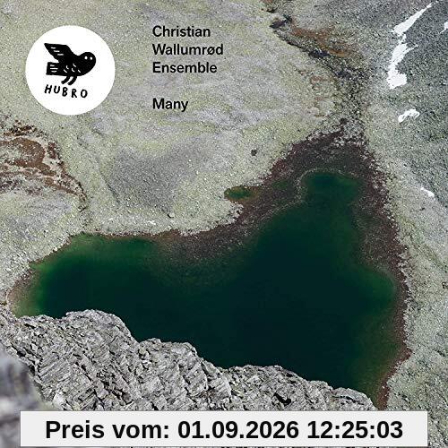 Christian Wallumrod Ensemble - Many