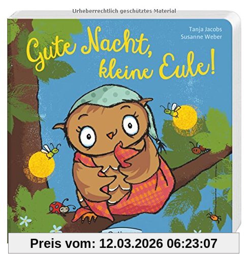 Susanne Weber Gute Nacht, Kleine Eule!