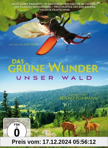 Das grüne Wunder - Unser Wald