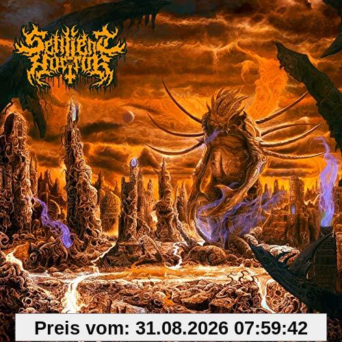 Morbid Realms