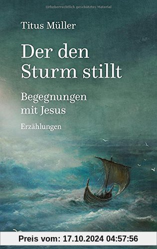 Der den Sturm stillt: Begegnungen mit Jesus. Erzählungen.