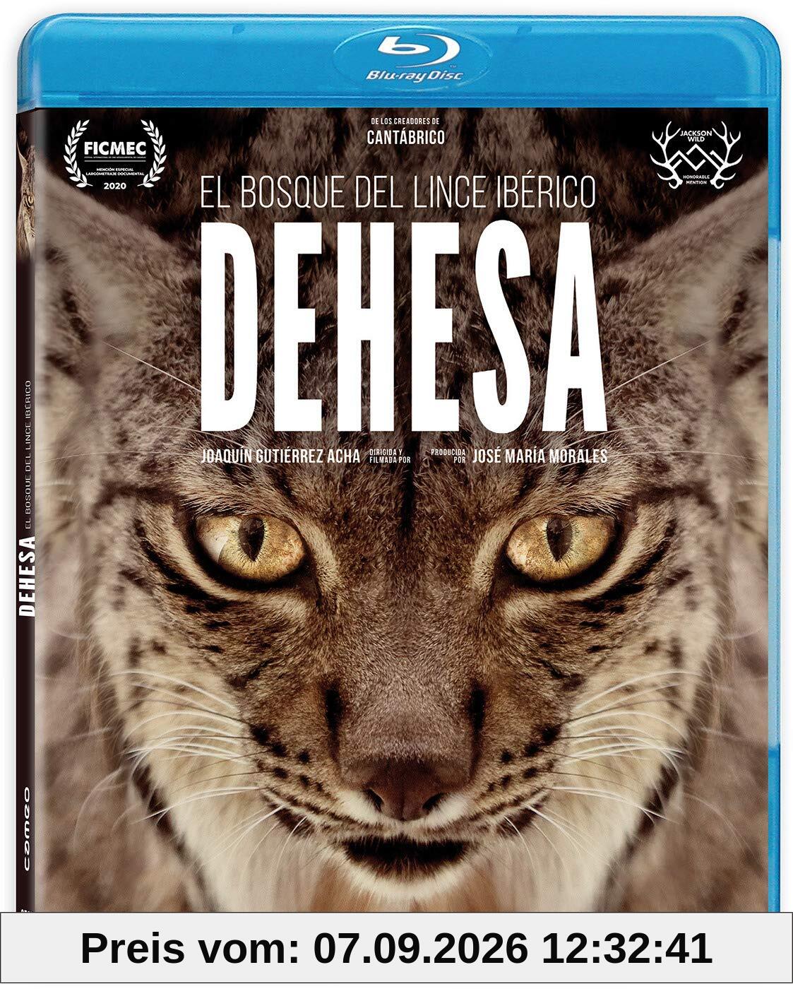 Dehesa, el Bosque del Lince Ibérico