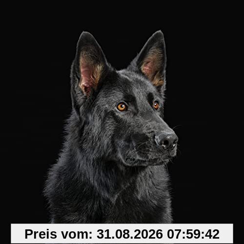 Die Nerven