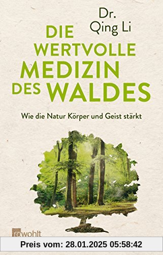 Die wertvolle Medizin des Waldes: Wie die Natur Körper und Geist stärkt