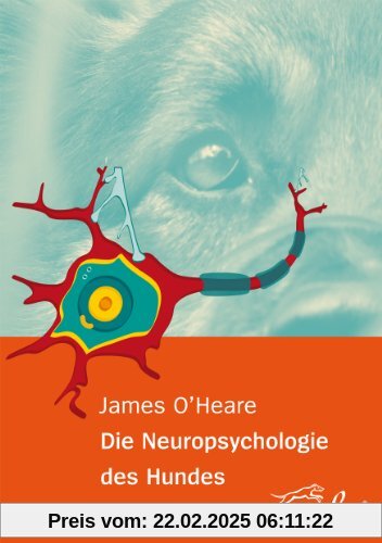 Die Neuropsychologie des Hundes