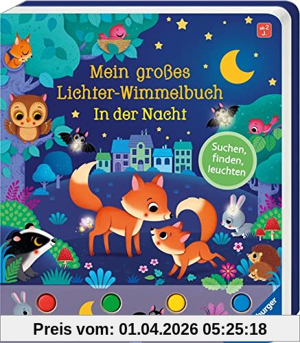 Mein großes Lichter-Wimmelbuch: In der Nacht: Suchen, finden, leuchten