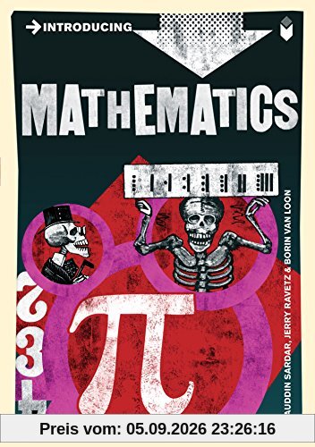 Introducing Mathematics: A Graphic Guide