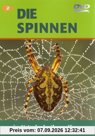 Die Spinnen - Im Netz der lautlosen Jäger