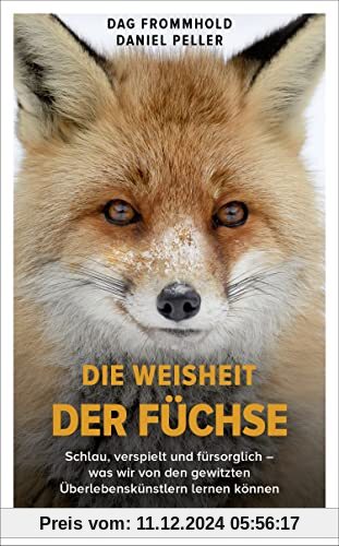 Die Weisheit der Füchse: Schlau, verspielt und fürsorglich – was wir von den gewitzten Überlebenskünstlern lernen können