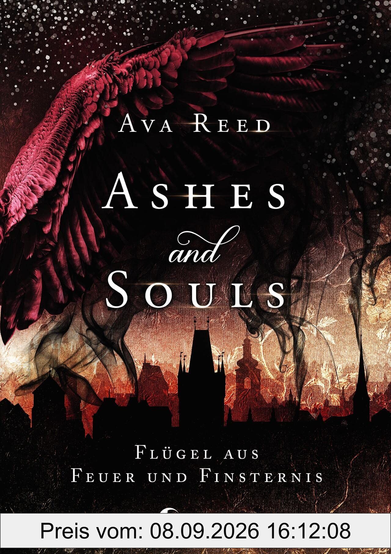 Ashes and Souls (Band 2) - Flügel aus Feuer und Finsternis