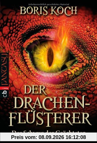 Der Drachenflüsterer - Der Schwur der Geächteten