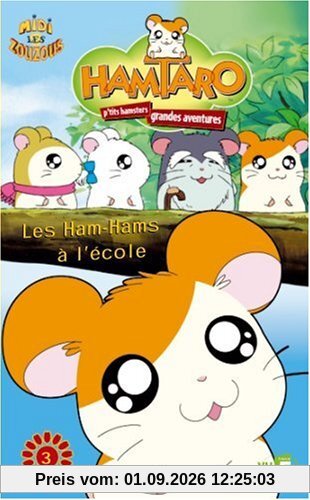 Hamtaro : Les Ham-Hams à l'école [FR Import]