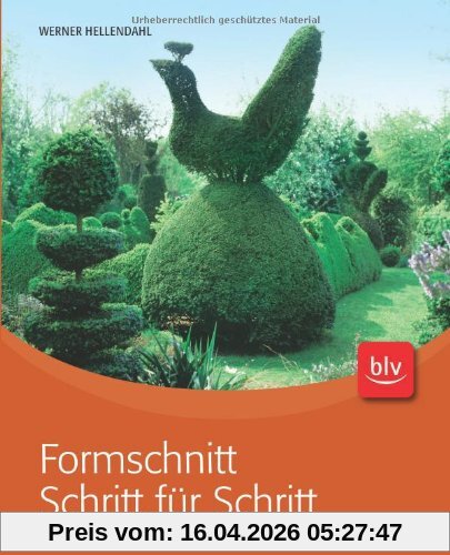 Formschnitt Schritt für Schritt
