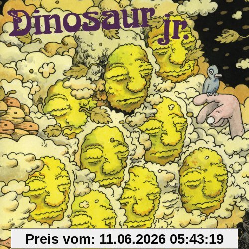 Dinosaur Jr. I Bet On Sky (Digi)