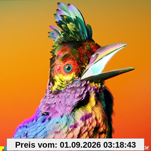 Flume Palaces (Ltd.Deluxe Cd)