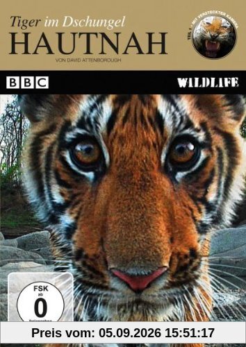 Hautnah - Tiger im Dschungel
