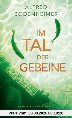 Im Tal der Gebeine: Rabbi Kleins fünfter Fall