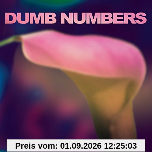 Dumb Numbers