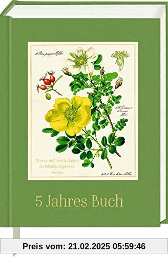 Chronik: 5 JahresBuch - Sammlung Augustina