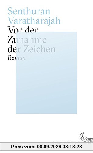 Vor der Zunahme der Zeichen: Roman