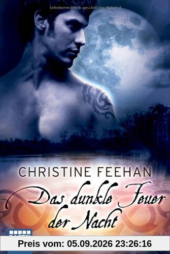 Das dunkle Feuer der Nacht