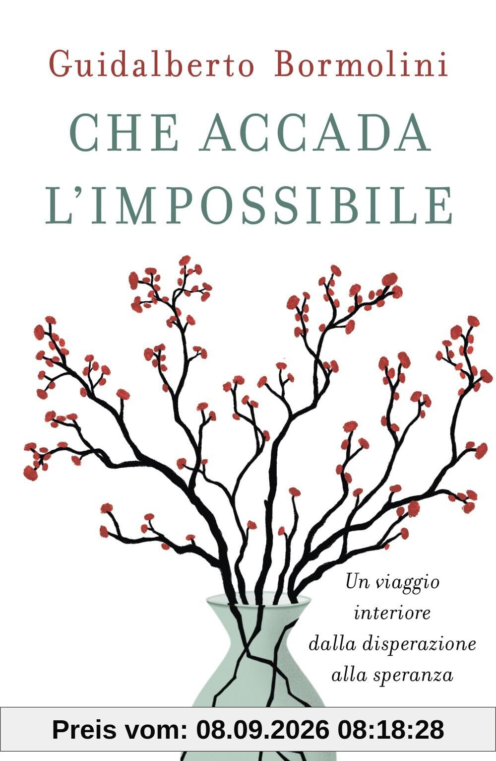Che accada l'impossibile. Un viaggio interiore dalla disperazione alla speranza (Vivere meglio)