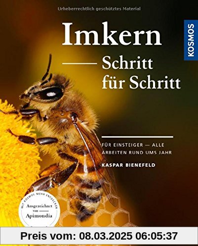 Imkern Schritt für Schritt: Für Einsteiger - alle Arbeiten rund ums Jahr