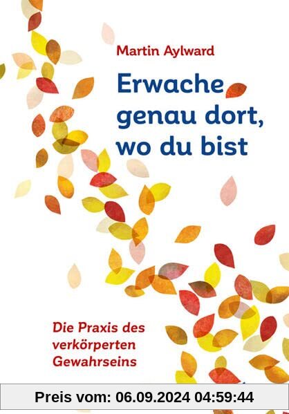 Erwache genau dort, wo du bist: Die Praxis des verkörperten Gewahrseins