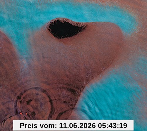 Meddle