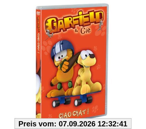 Garfield, vol. 10 : ciao chat [FR Import]