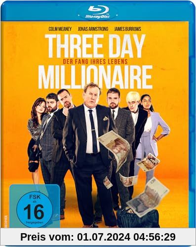 Three Day Millionaire – Der Fang ihres Lebens [Blu-ray]