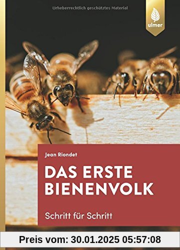 Das erste Bienenvolk – Schritt für Schritt