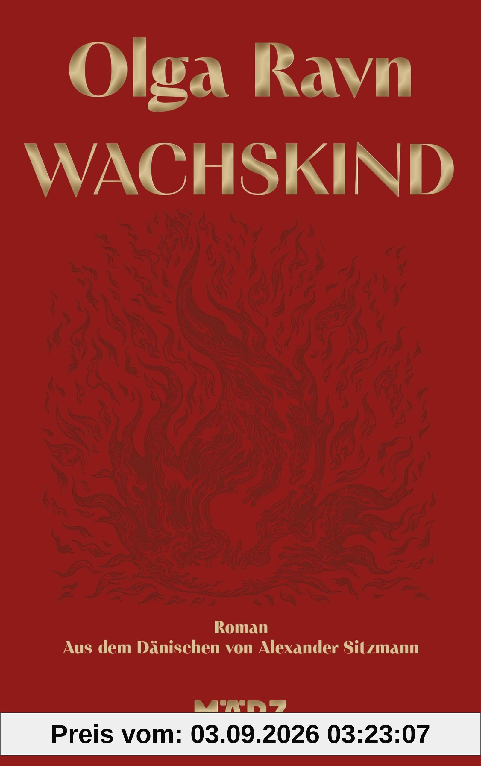 Wachskind: Roman