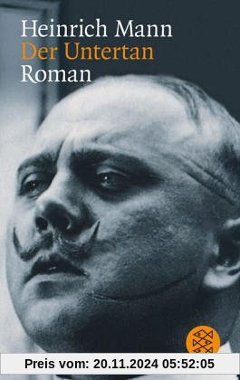 Der Untertan: Roman