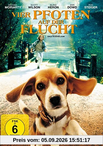 Vier Pfoten auf der Flucht