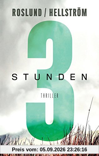Drei Stunden: Thriller (Piet Hoffmann, Band 3)