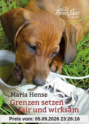 Grenzen setzen: fair und wirksam